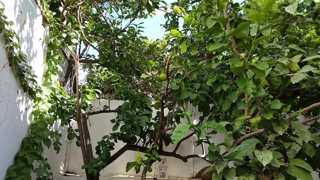 Studio Lefaki Apartment Rethymno